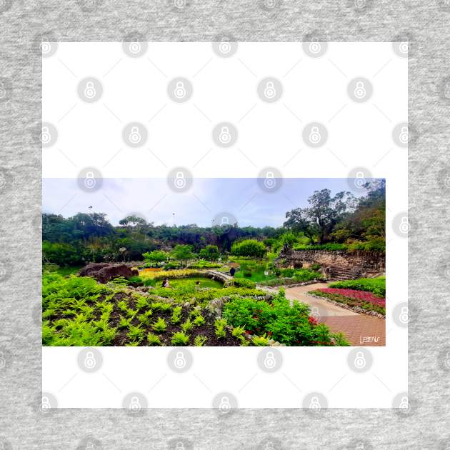 zen garden in japanese wetland park photograph art by jorge_lebeau